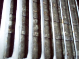 mold growth on air vent mold growth on air vent after just 3 months