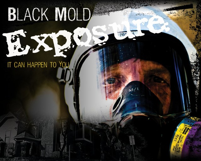 wallpaper1280x1024 wallpaper1280x1024