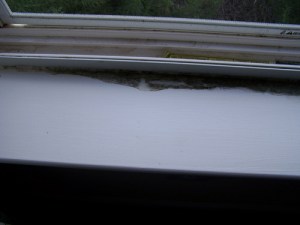 mold-window