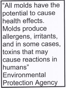 13.03.08 EPA all molds