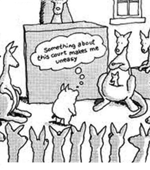 b9a73dcc-b13f-42c2-a1b6-cd35cd48db9d